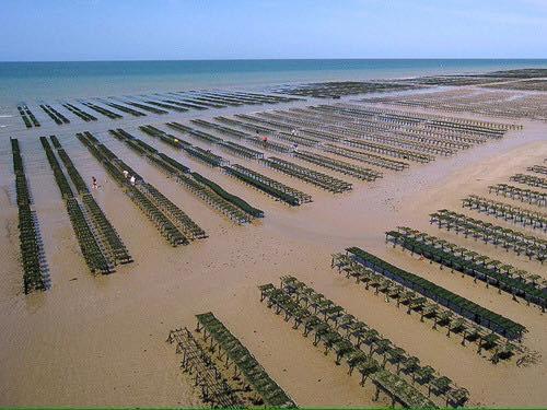 Maison Renovee En Pierres Sejour Spacieux Avec Jardin Et Terrasse Amenagee Pres Omaha Beach & Bayeux A 5Mn De La Mer Tous Commerces Commes المظهر الخارجي الصورة