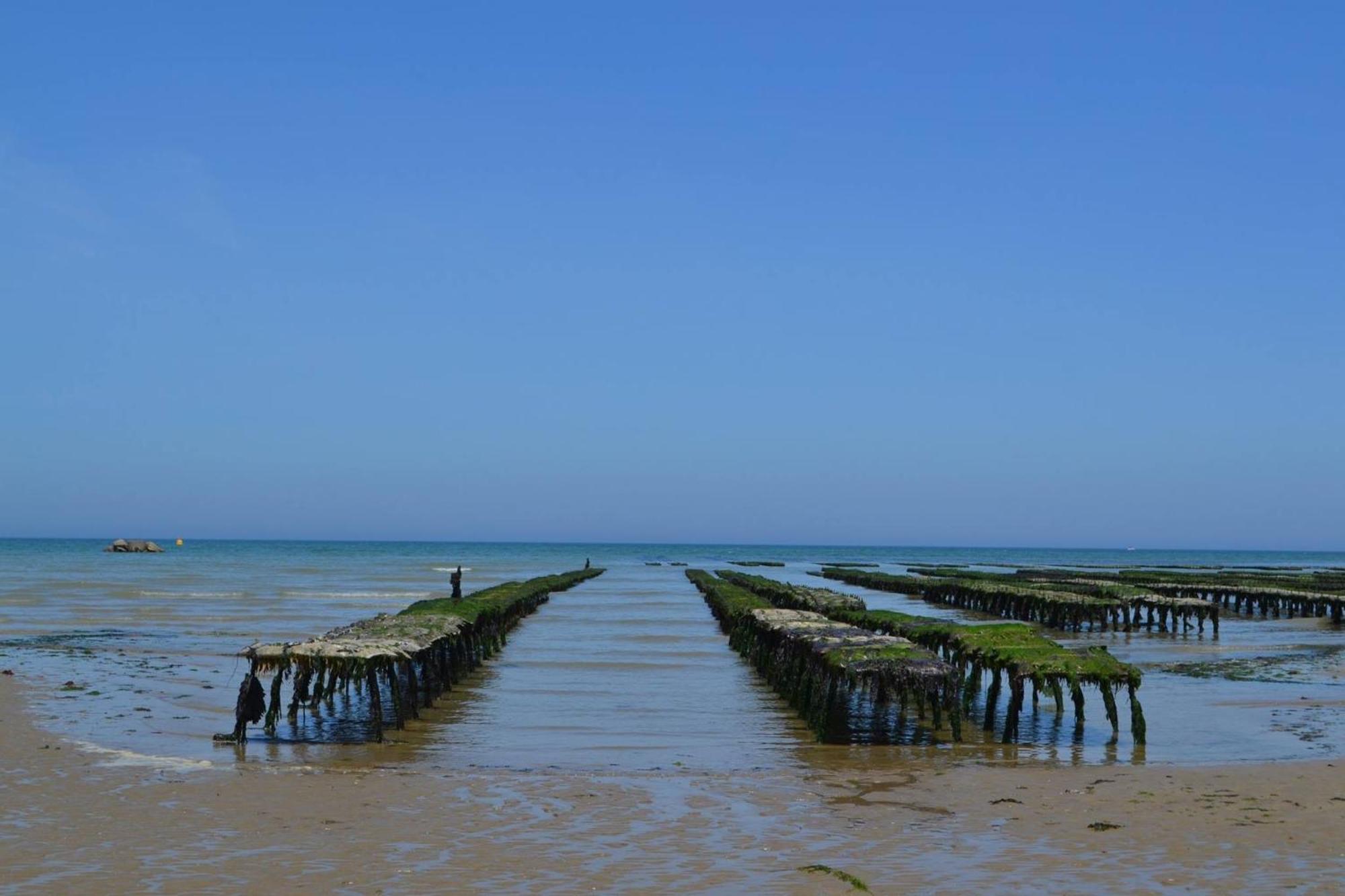 Maison Renovee En Pierres Sejour Spacieux Avec Jardin Et Terrasse Amenagee Pres Omaha Beach & Bayeux A 5Mn De La Mer Tous Commerces Commes المظهر الخارجي الصورة
